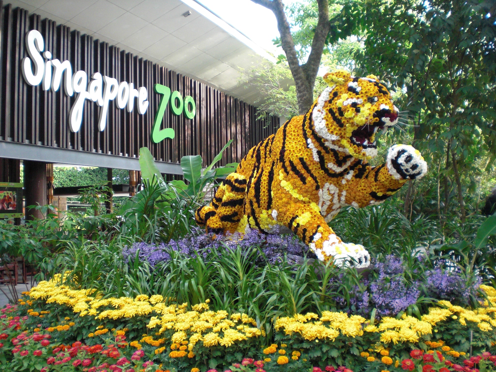 Singapore Zoo Tour - One Day